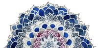 peacock peacock peacock peacock peacock peacock peacock peacock peacock peacock