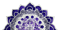 a purple and white lotus flower on a black background