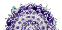 a purple and white flower on a black background